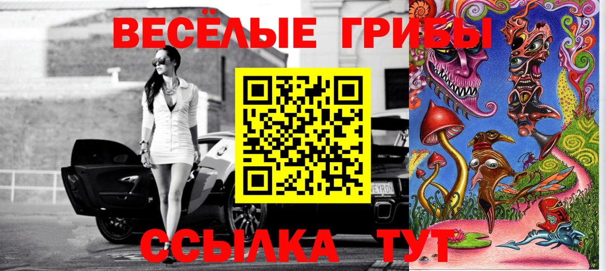 купить наркотики цена  Псилоцибиновые грибы прущие грибы  Вход с VPN  Минеральные Воды 